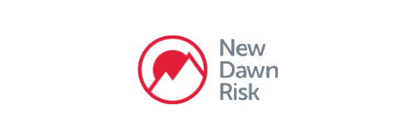 New Dawn Risk