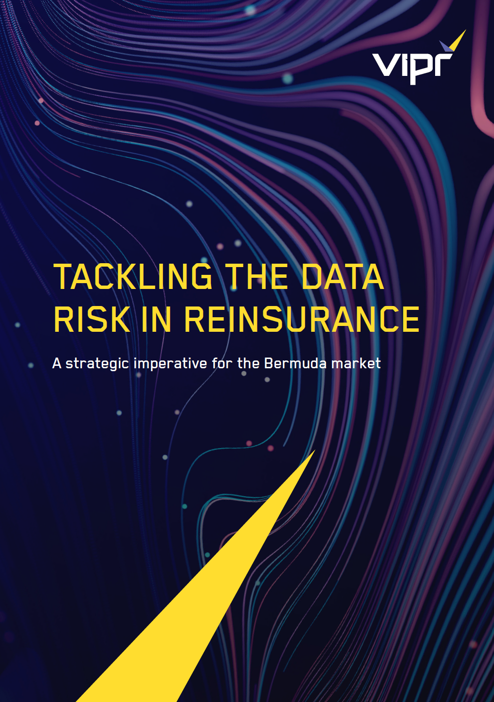 VIPR Tackling Data Risk - Oct 2025